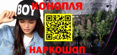 метадон Кингисепп