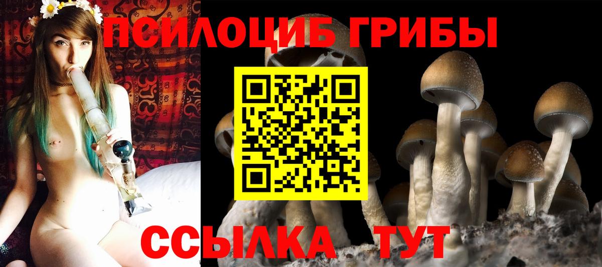 Псилоцибиновые грибы MAGIC MUSHROOMS Краснокаменск