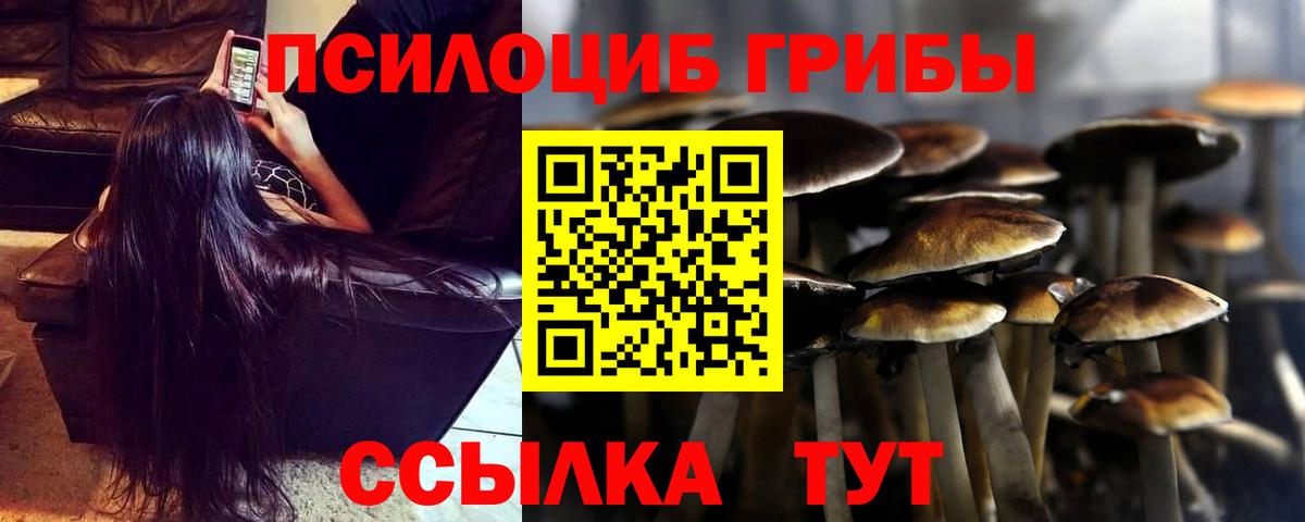 Краснокаменск  Галлюциногенные грибы MAGIC MUSHROOMS  Вход с VPN 
